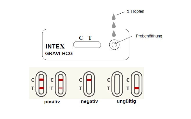 INTEX Gravi hCG Schwangerschaftstest