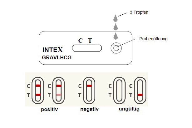 INTEX Gravi hCG Schwangerschaftstest